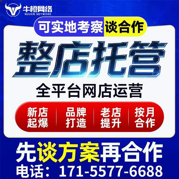 韶关电商代运营