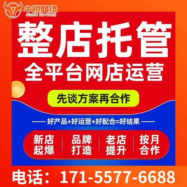 韶关电商代运营