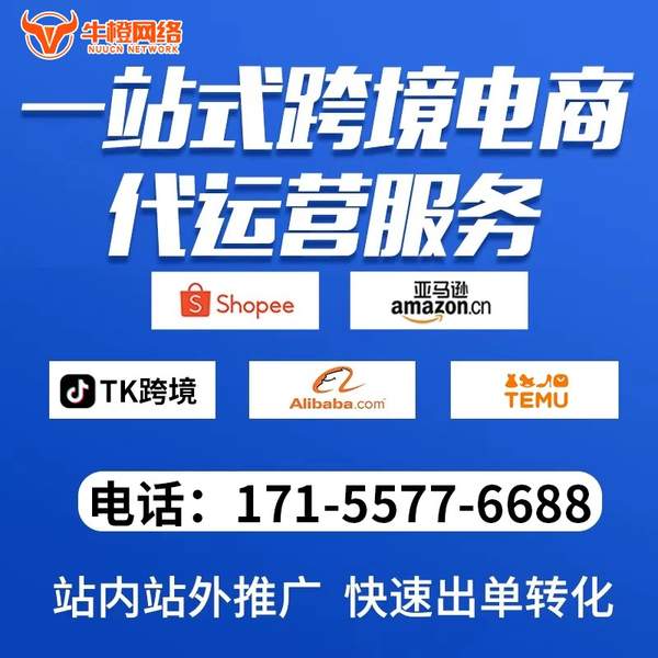 韶关电商代运营