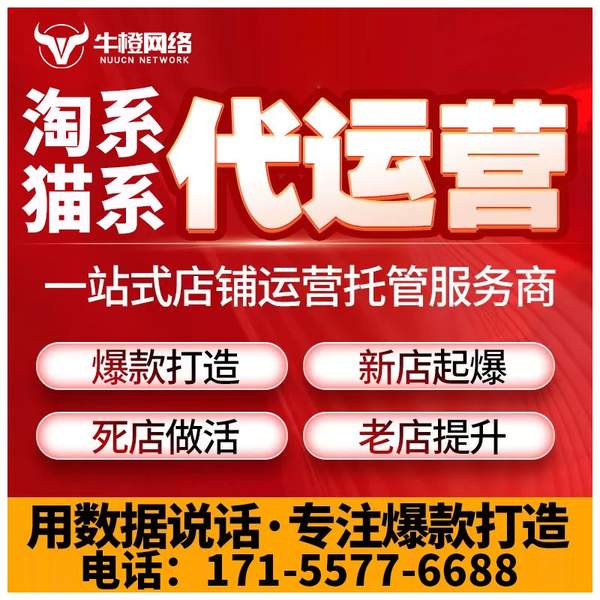 韶关电商代运营